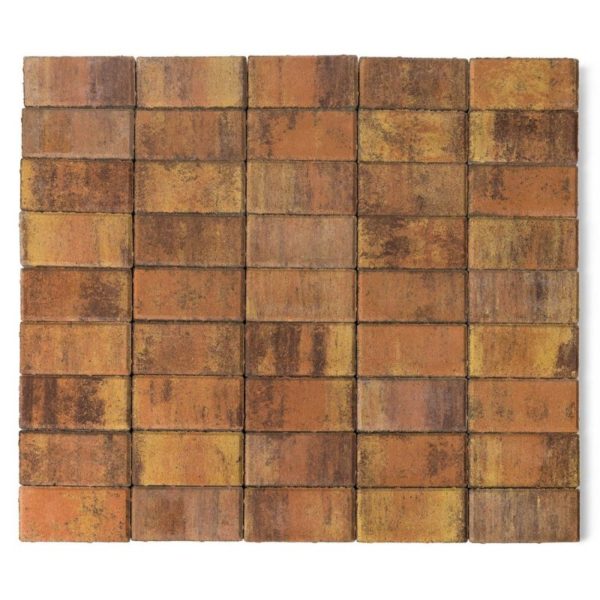 Тротуарная плитка Braer Прмоугольник Color Mix Прайд 60 мм 3